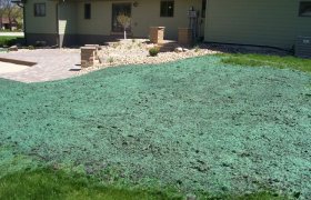 Professional lawn hydroseeding performed by Exterior Designs of Alexandria